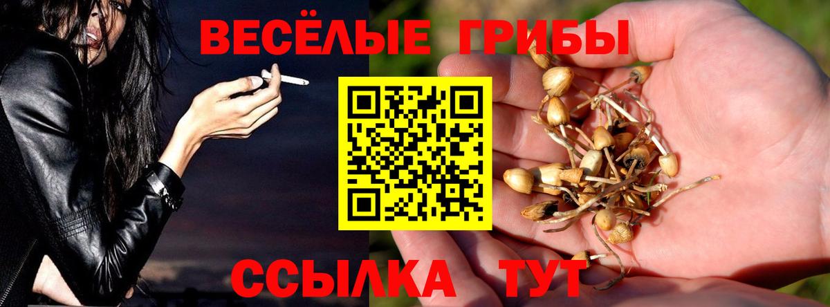 Псилоцибиновые грибы Magic Shrooms  Вход с VPN  Киселёвск  Псилоцибиновые грибы ЛСД 